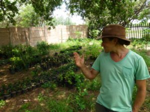 Ash Laurie has a Permaculture garden in the heart of Johannesburg, Market Nosh
