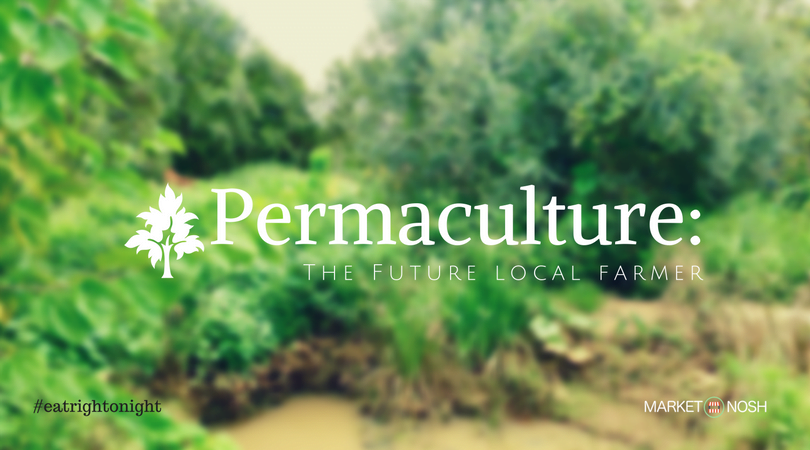 Permaculture is more than a way of life, it is a philosophy, Market Nosh