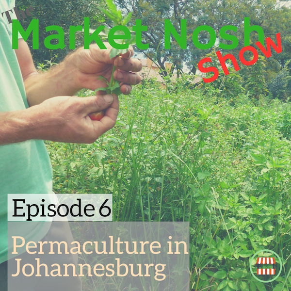 TMNSP 006 – Permaculture in Johannesburg
